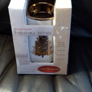 Fragrance warmer
